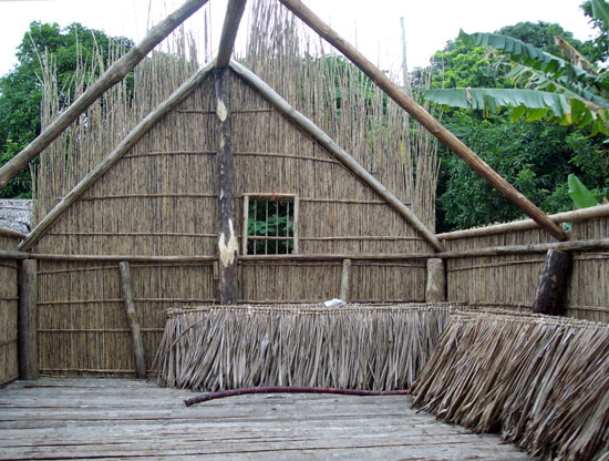 Maison traditionnelle Vanuatu 2